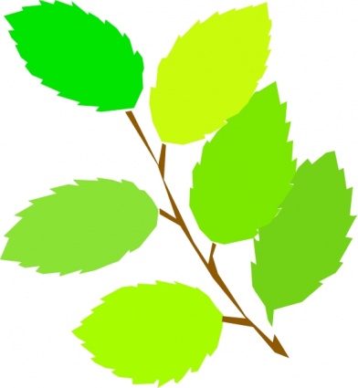 Clipart Tree With Branches And Leaves | Clipart Panda - Free ...
