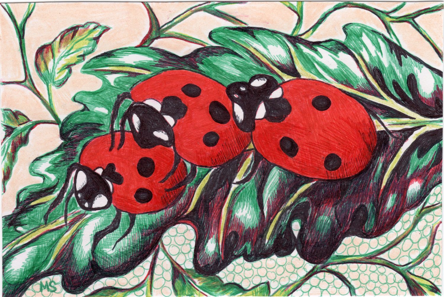 Popular items for ladybug drawing on Etsy