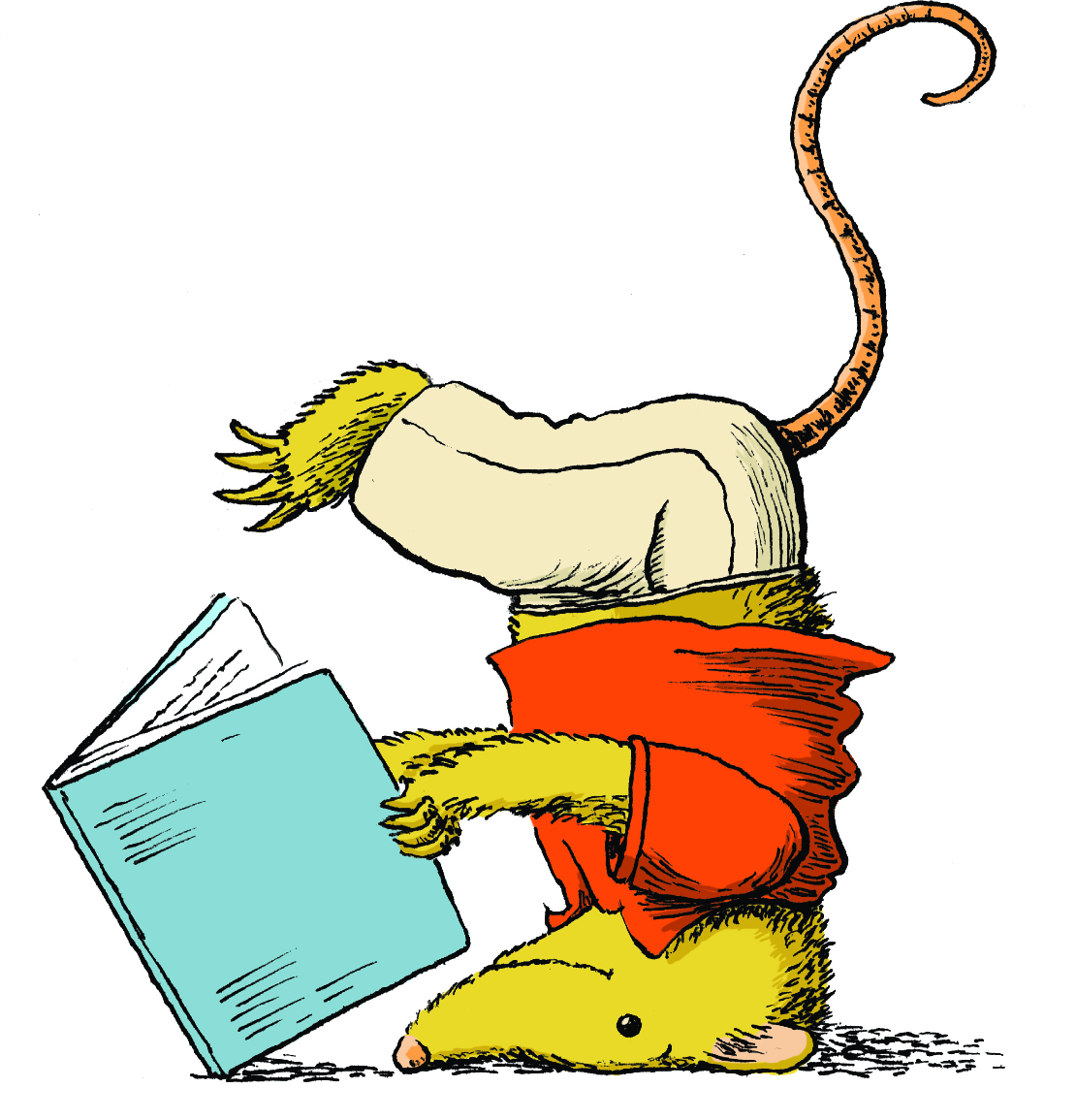 Possum.jpg