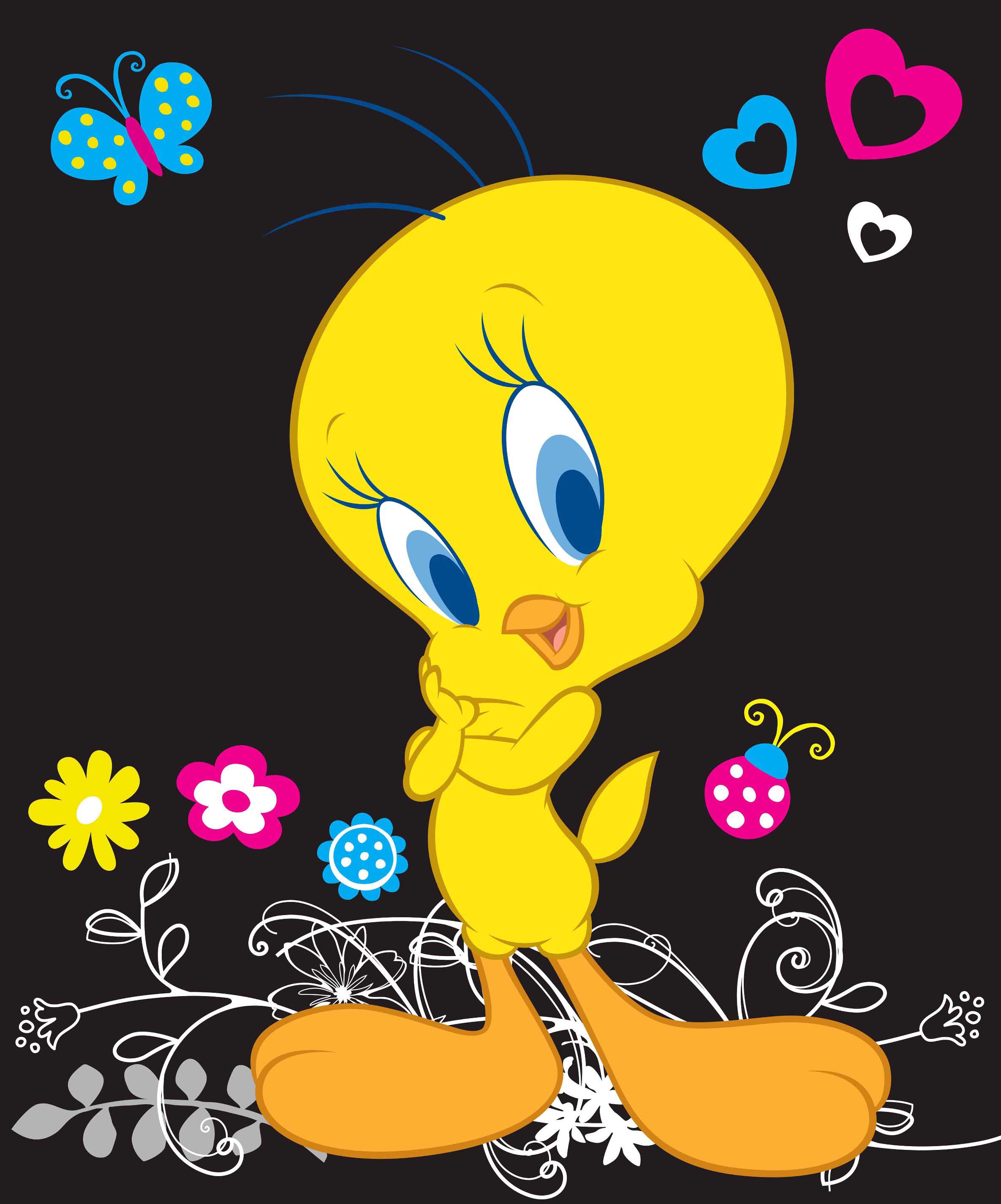Images Tweety Bird Cartoon - HD Photos Gallery