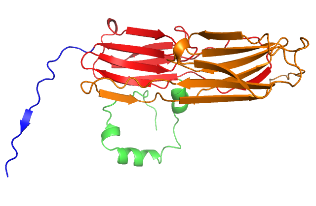 Vierling Lab - Unraveling Chaperone Function and Stress Responses