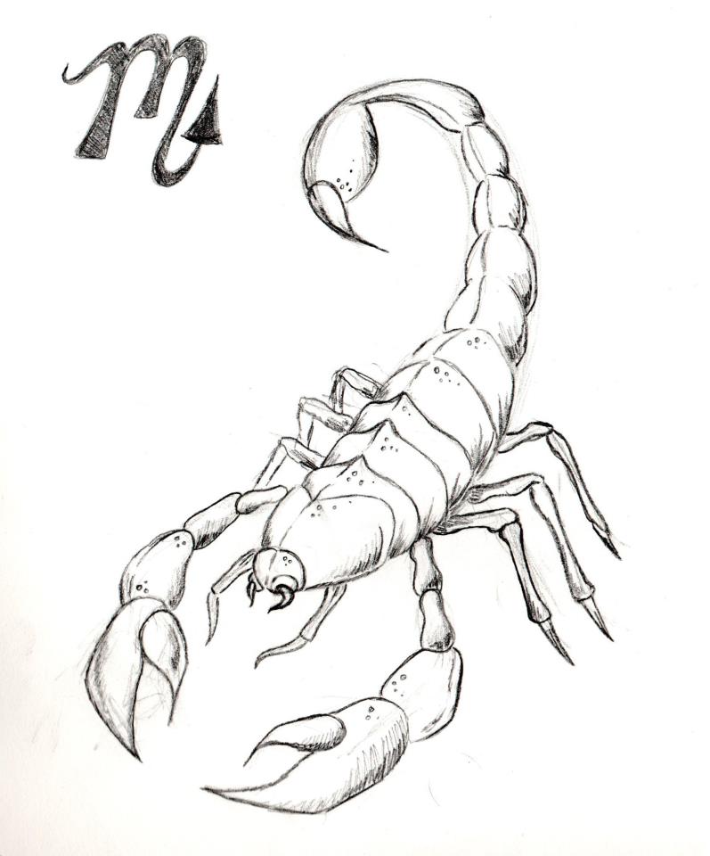 Scorpion Tattoos, Designs And Ideas : Page 4
