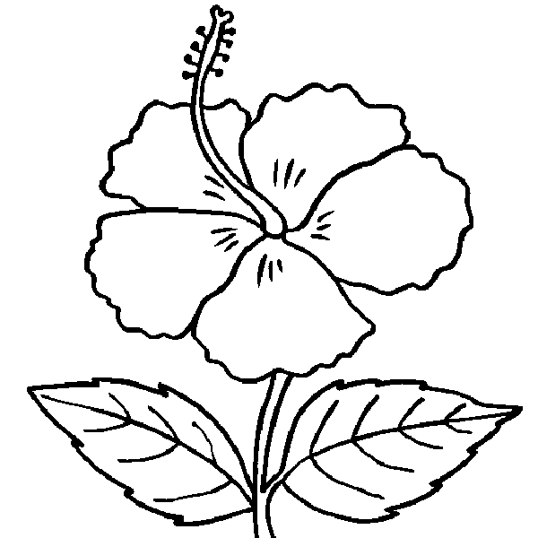 coloring-pages of big flower for kids to print out for coloring ...