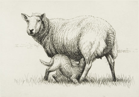 The Henry Moore Foundation - Henry Moore Sheep: On Tour