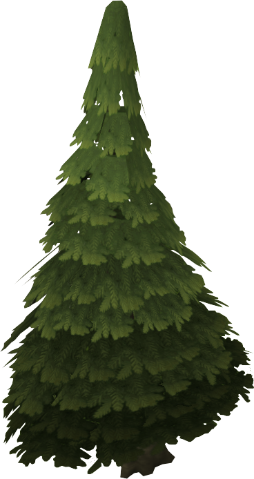Image - Evergreen tree.png - The RuneScape Wiki
