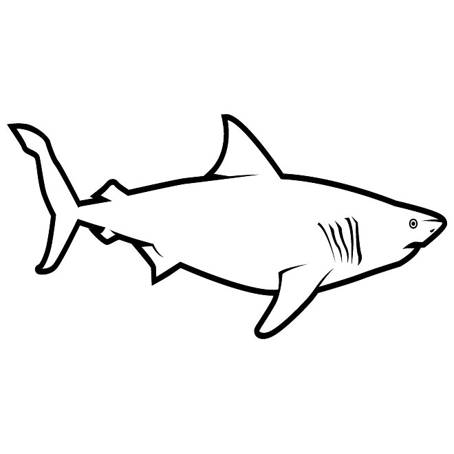 White Shark Free Vector - ClipArt Best