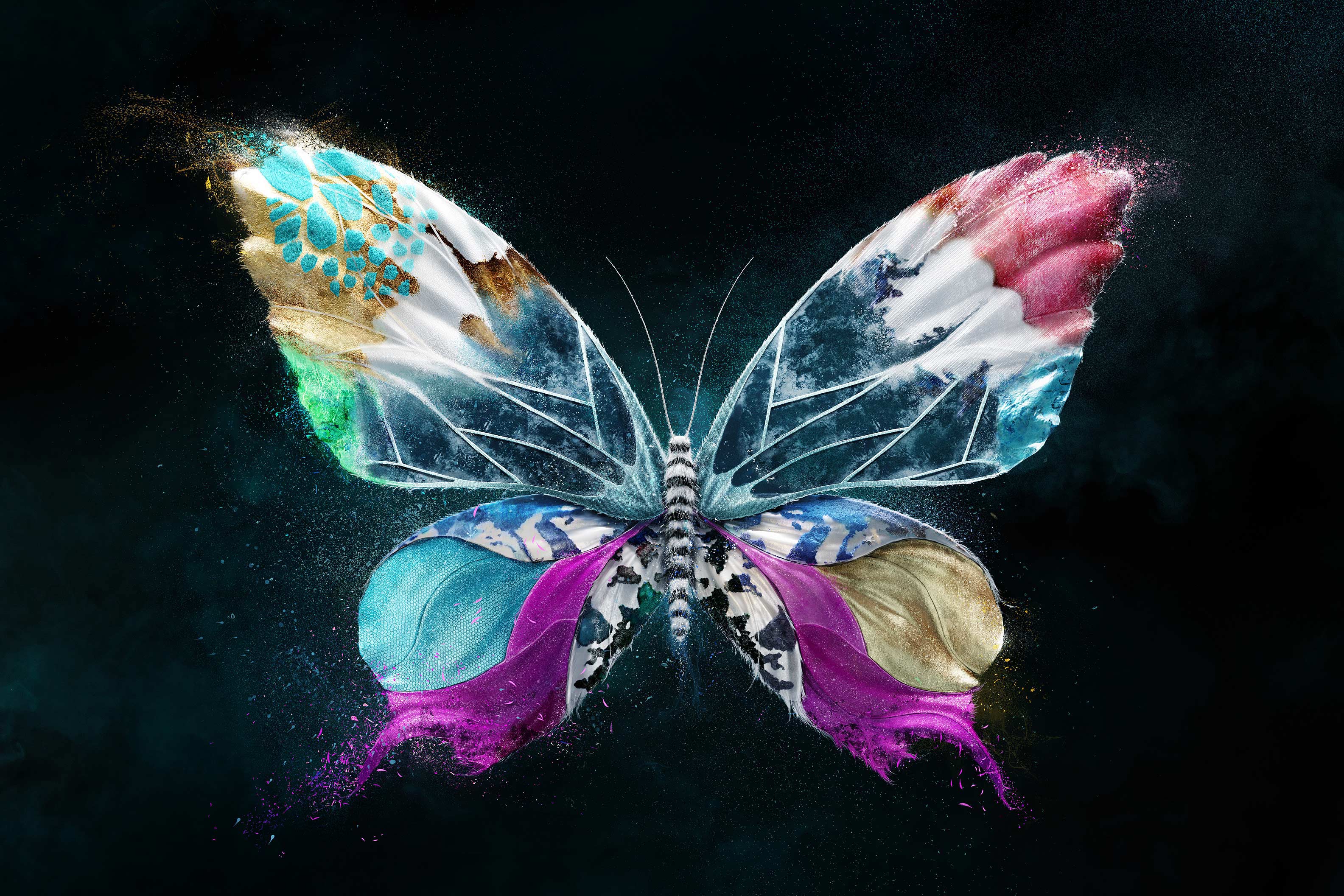 Visual Art - ESC