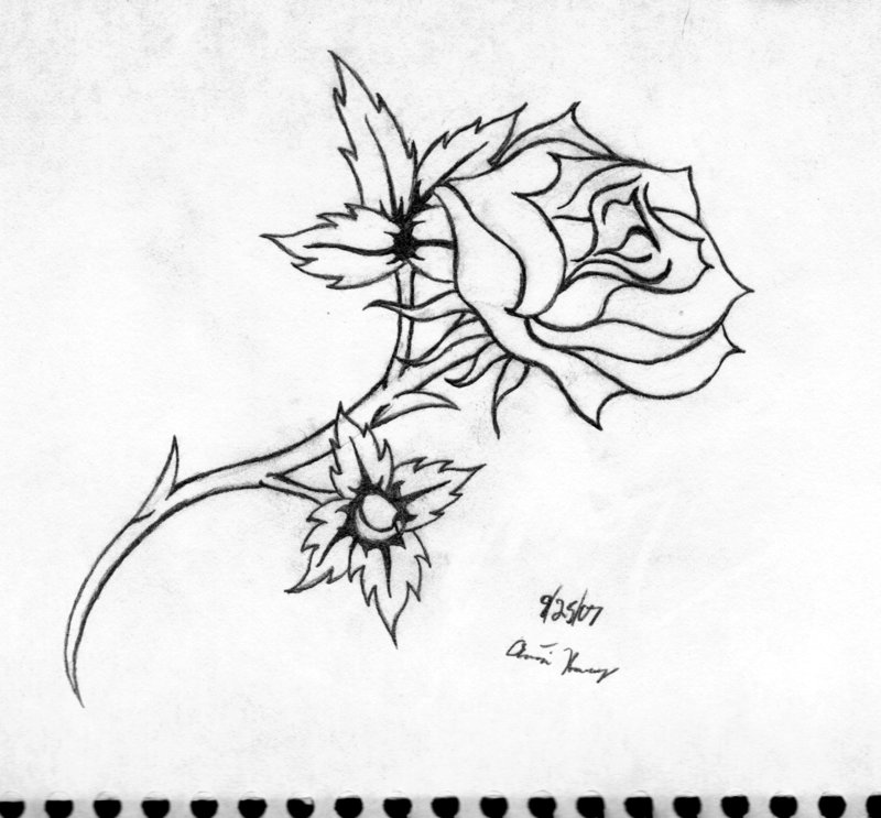 line art of rose tattoo by Katayoku on DeviantArt