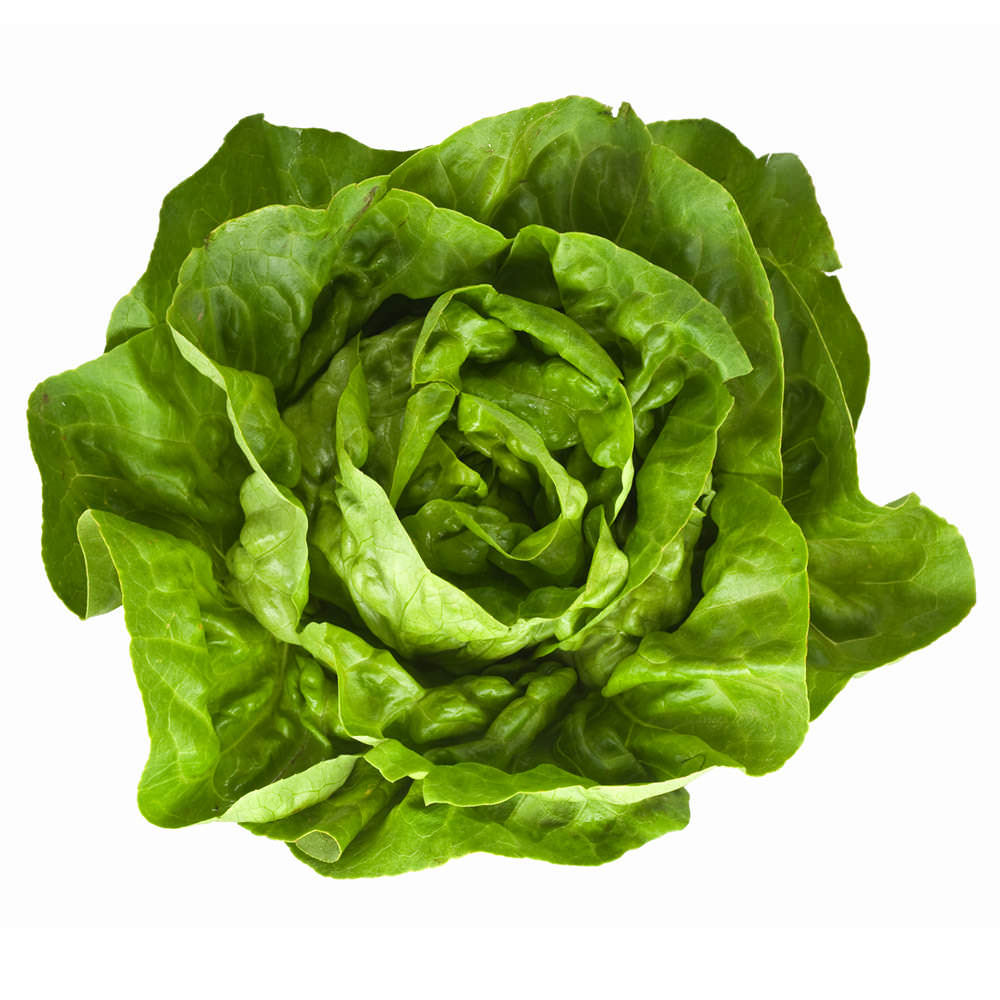 Products - Broccoli Rabe, Cactus Pears, Nopalitos, and More