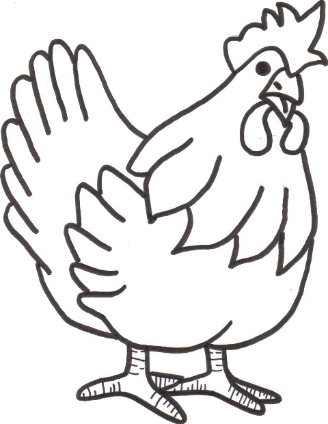 Coloring Pages Of Chickens | Free Printable Coloring Pages