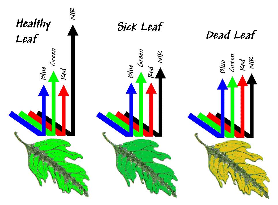 Topic 7: Understanding GPS, RS and IDI