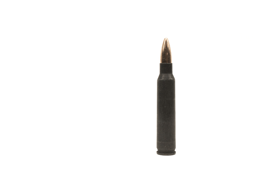 The Right To Bear Arms » 2013 » January