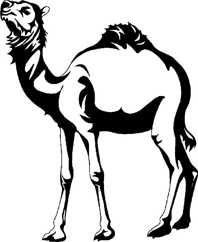 Camel Clipart Black And White