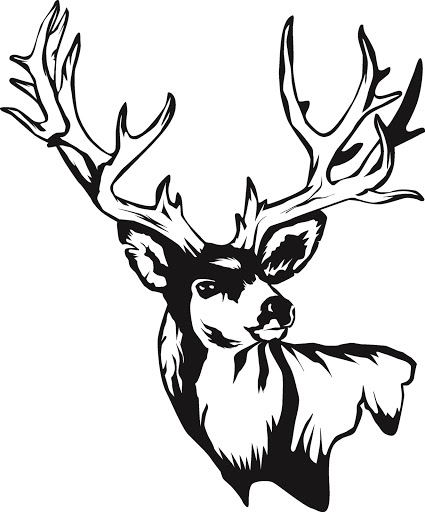 Deer Skull Drawings - ClipArt Best