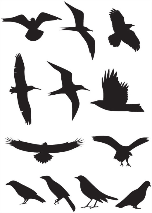 Bird Silhouette Clip Art - ClipArt Best