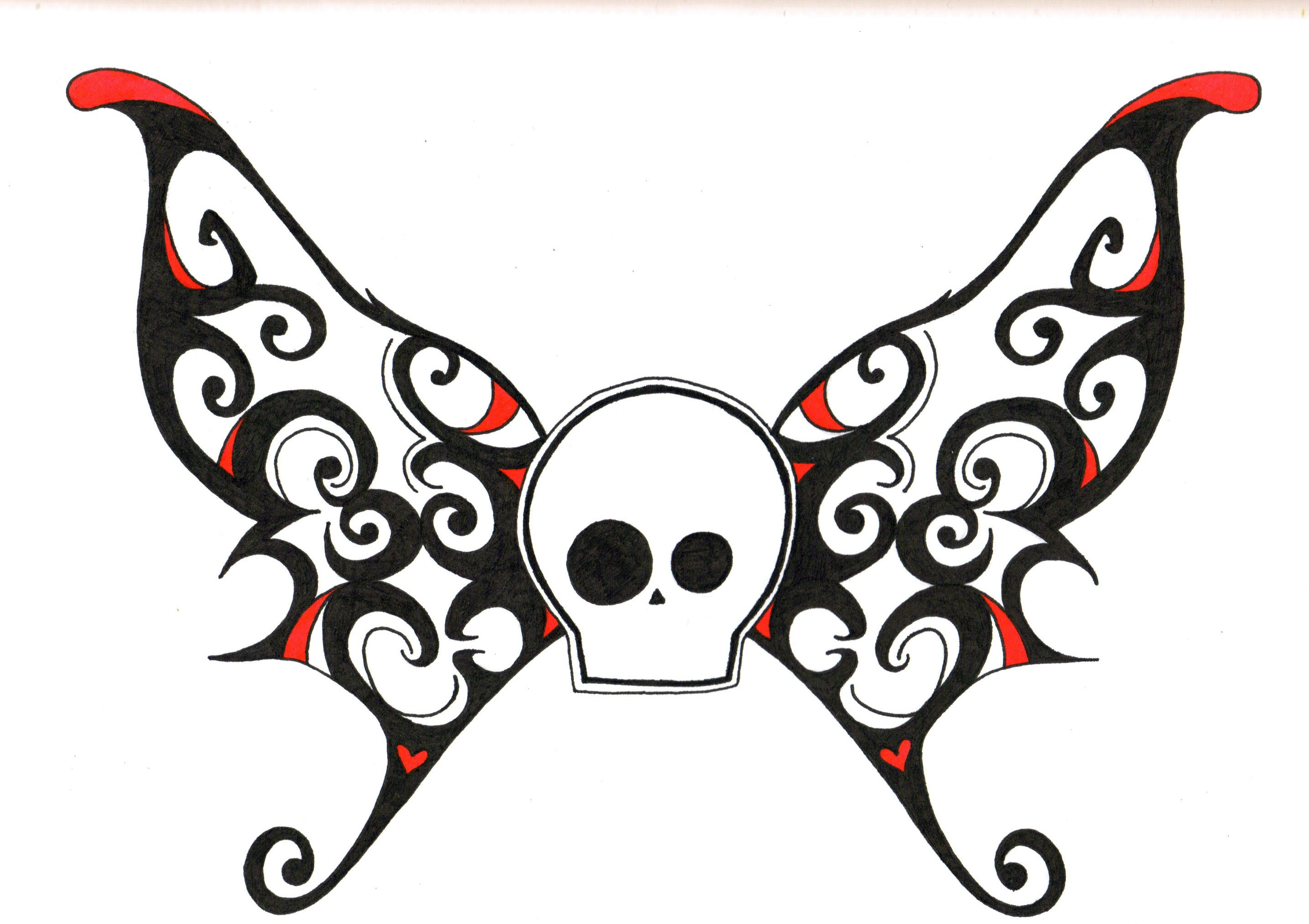 Skull With Wings Images & Pictures - Becuo