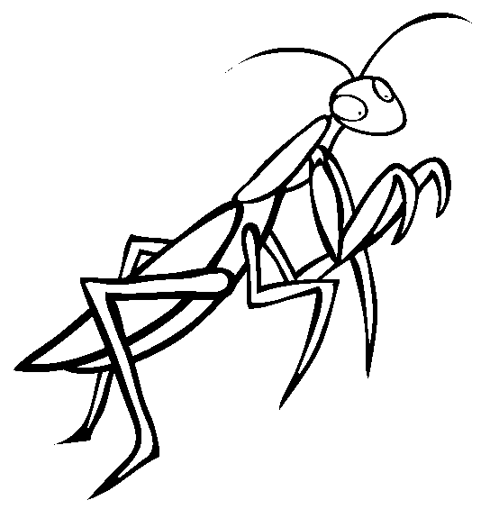 Praying Mantis Clip Art - Cliparts.co