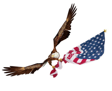 Us Flag Eagle Army - www.proteckmachinery.com