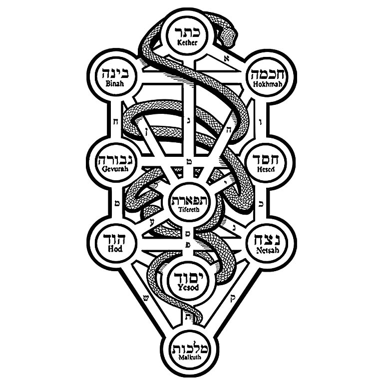 Snake Line Drawing