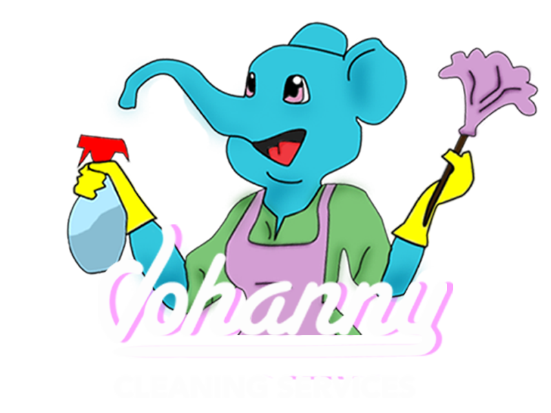 Johanny Cleaning Services