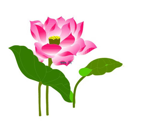 Lotus flower vector, Free vector art download, vector graphics ...