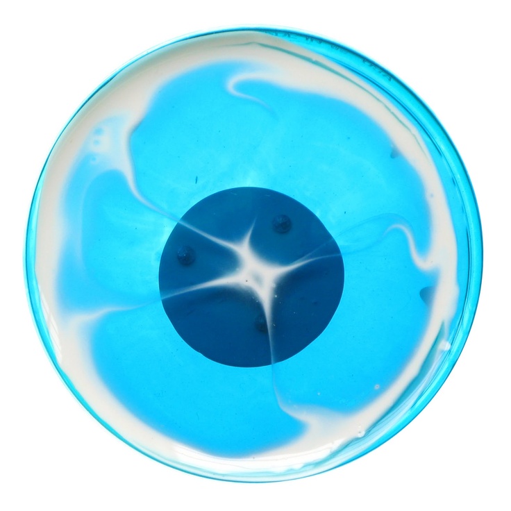 Petri Dish Painting | Products I Love | Pinterest