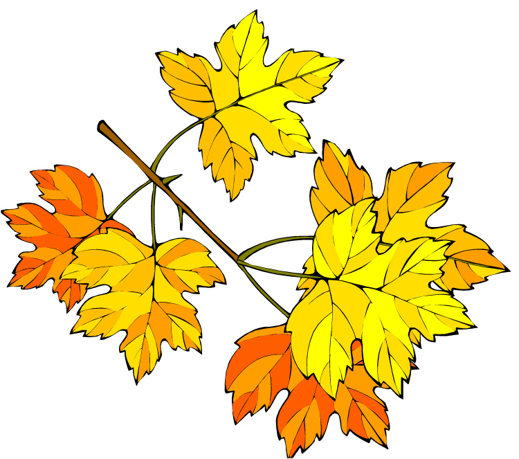 Maple Grove Elementary School - Ensuring Each Leaf Can Learn to ...
