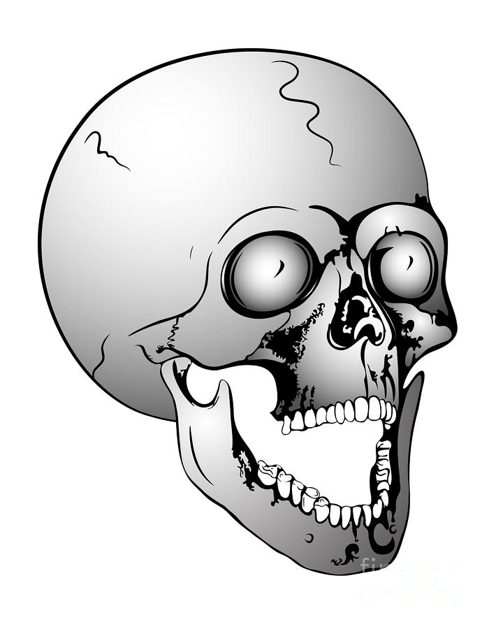 Screaming Skull by Michal Boubin - Screaming Skull Drawing ...