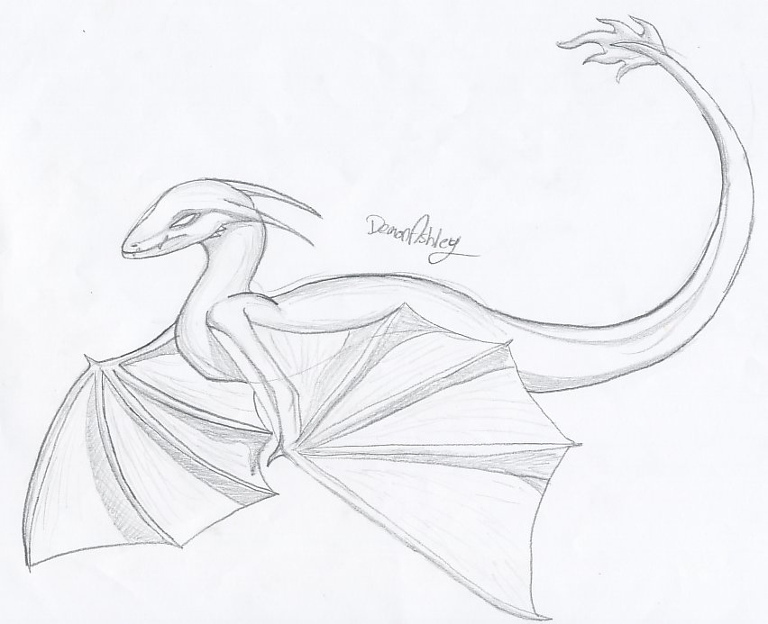 Simple Dragon by demonashley on DeviantArt