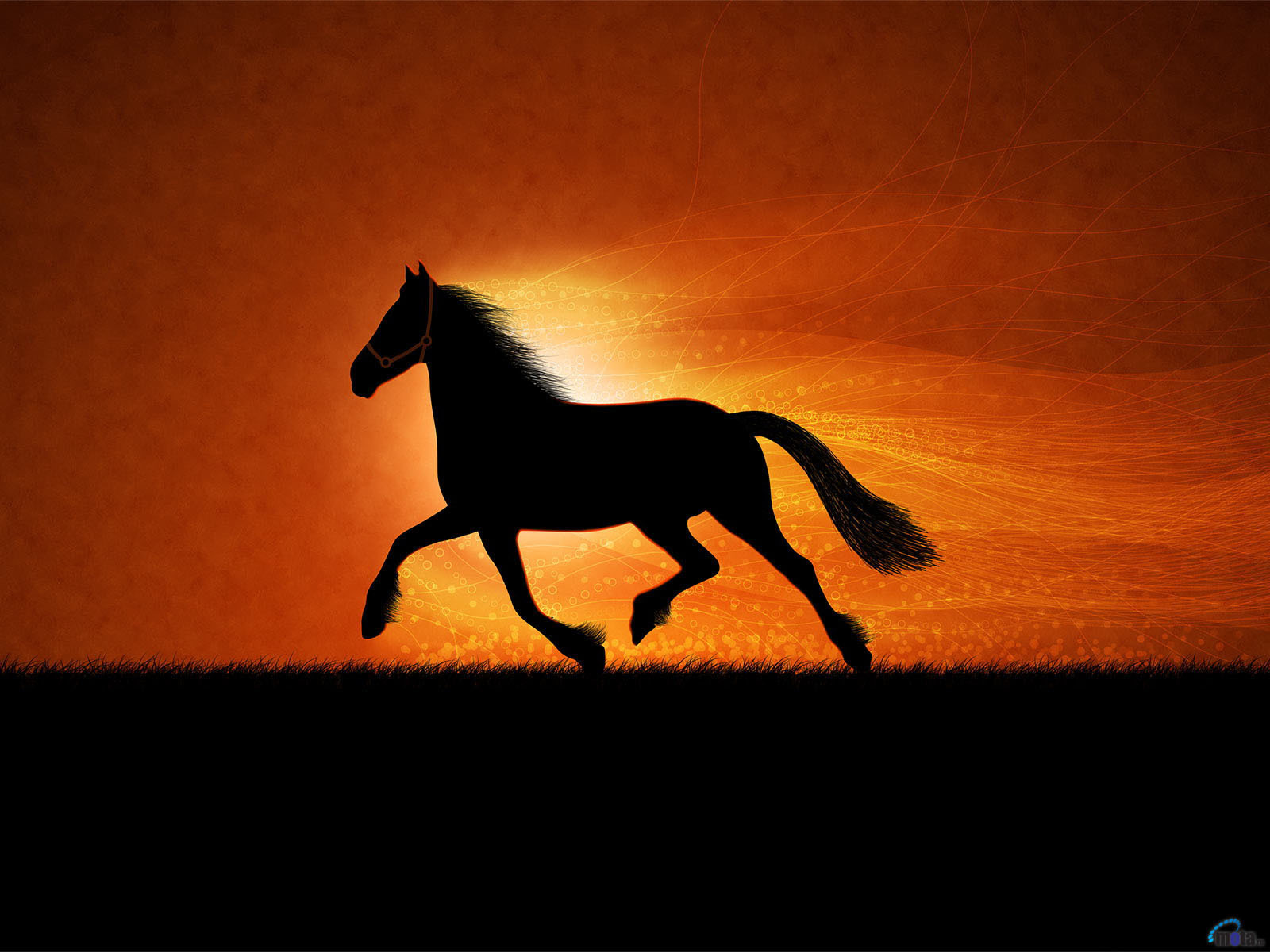 More horse wallpapers! - Horses Wallpaper (15705255) - Fanpop