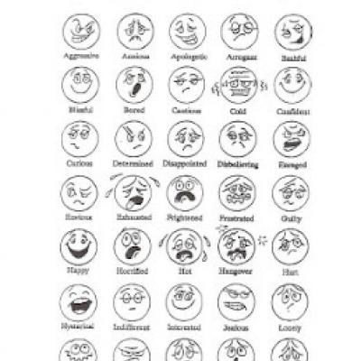 Feeling Face Book {Emotions} - Tip Junkie