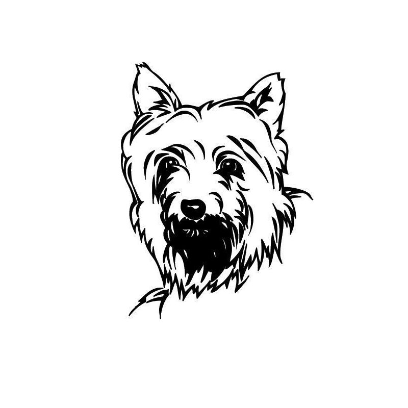 Yorkshire Terrier Tattoo