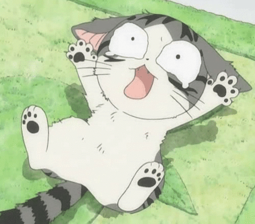 cute anime cat gif | Tumblr