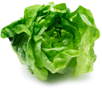 lettuce-isolated.jpg