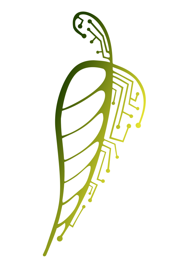 Walnut Valley Computer Logo by SAW3Images on DeviantArt