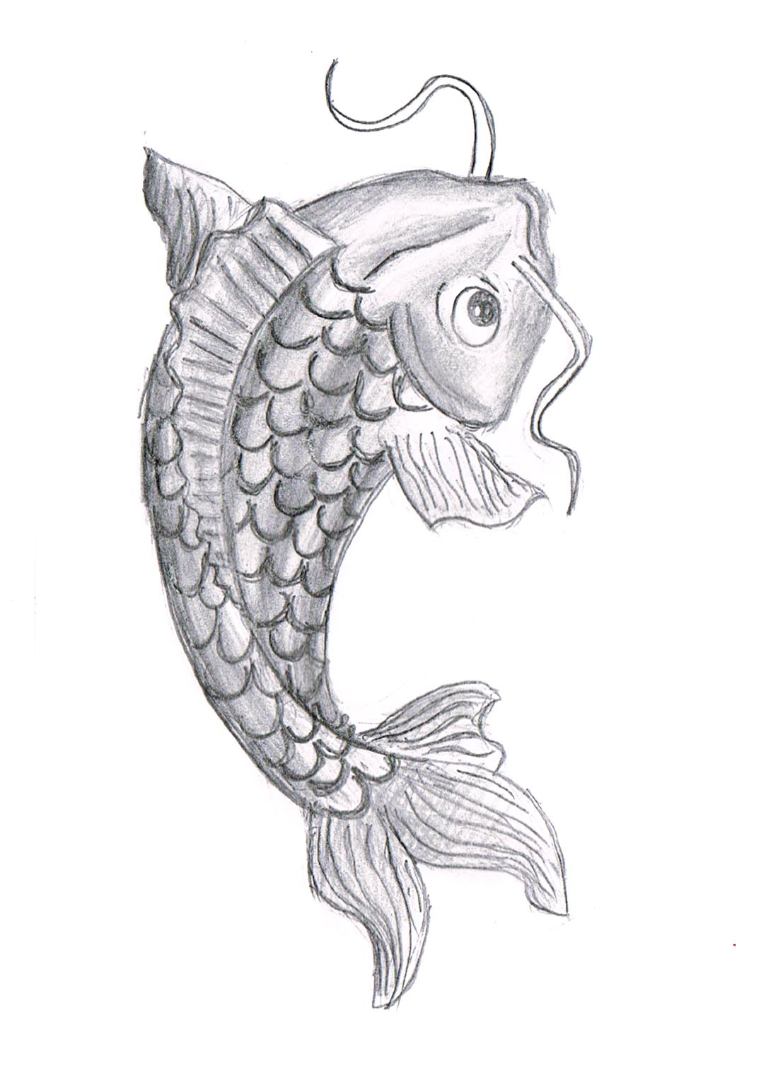Koi Fish Drawings In Pencil - Gallery