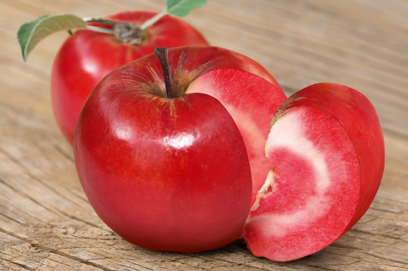 Redlove Era Apples - Types of Apples
