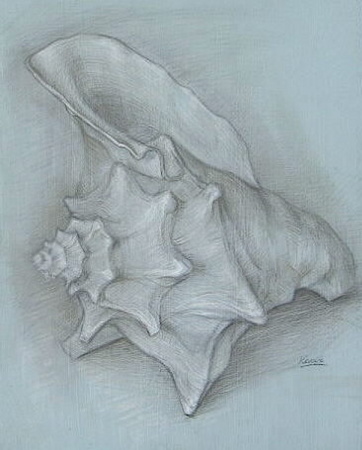 conch.jpg