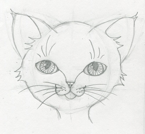 A Touch of Whimsy: Learn How to Draw A Cute Animal Face Step-By ...