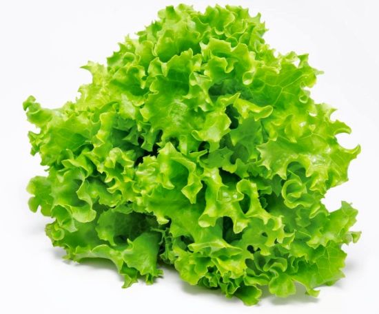 Health Benefits of Lettuce | Organic Facts