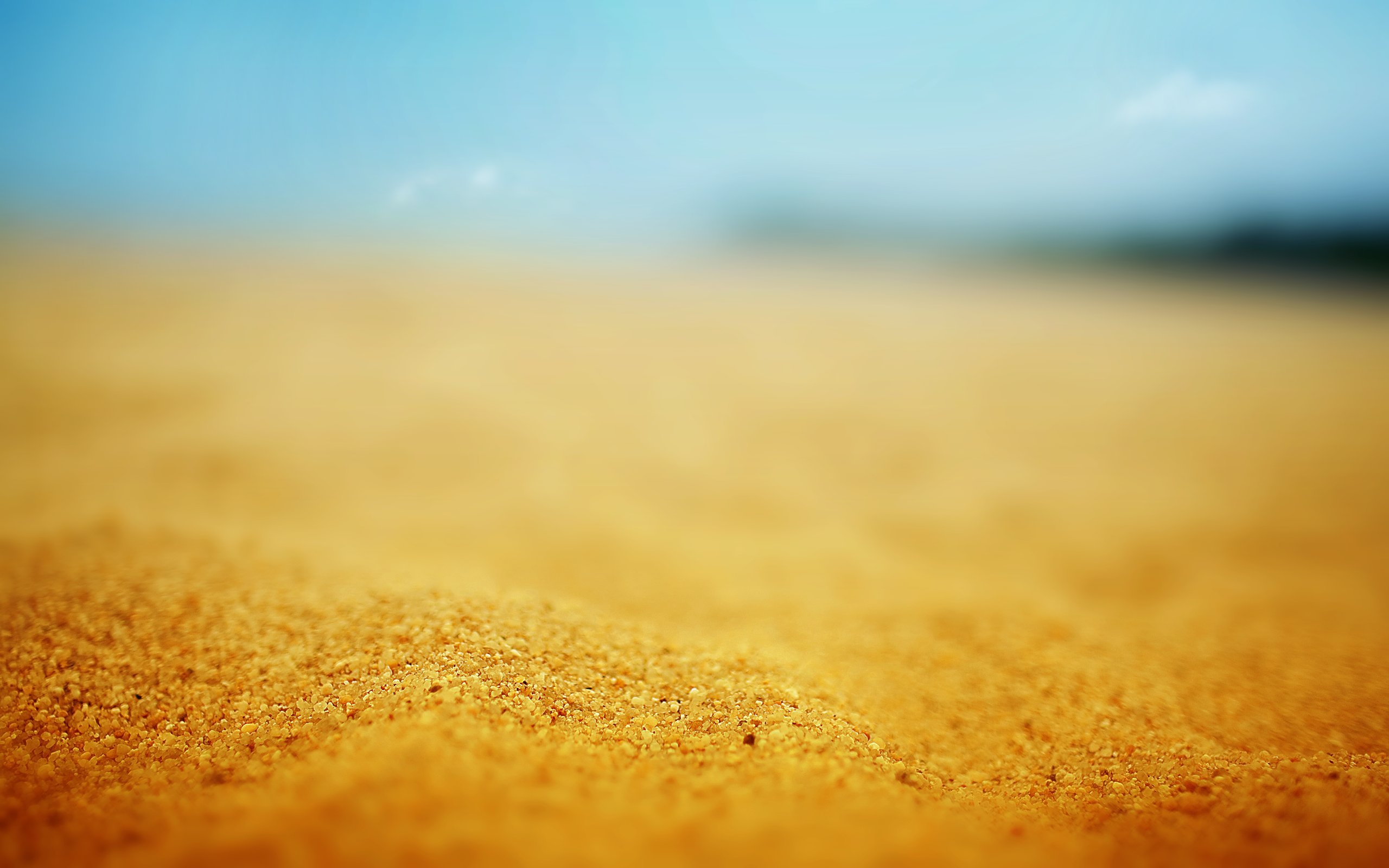 Grains of Sand | Katy Veil