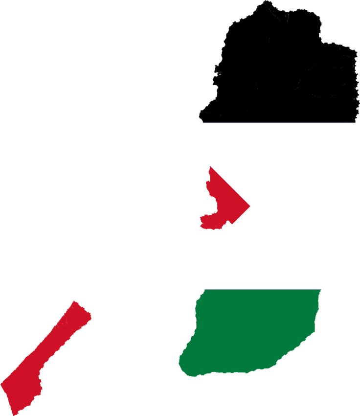 Palestine Flag Map - Mapsof.net | flags around the world | Pinterest