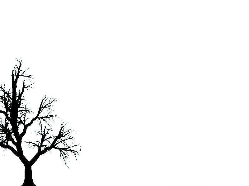 tree 13 branches black picture