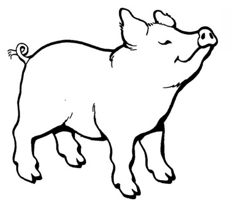 Pig Line Art - Cliparts.co