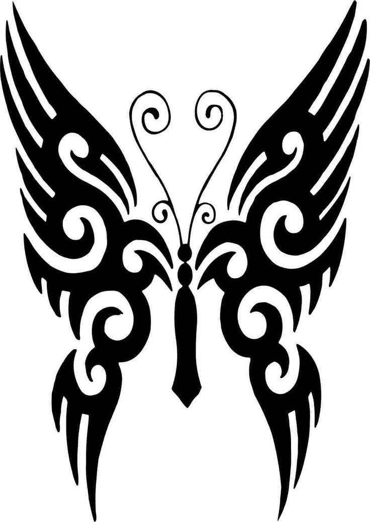 wings silhouette - Google Search*vector* | Tactile Light--graphics, c…