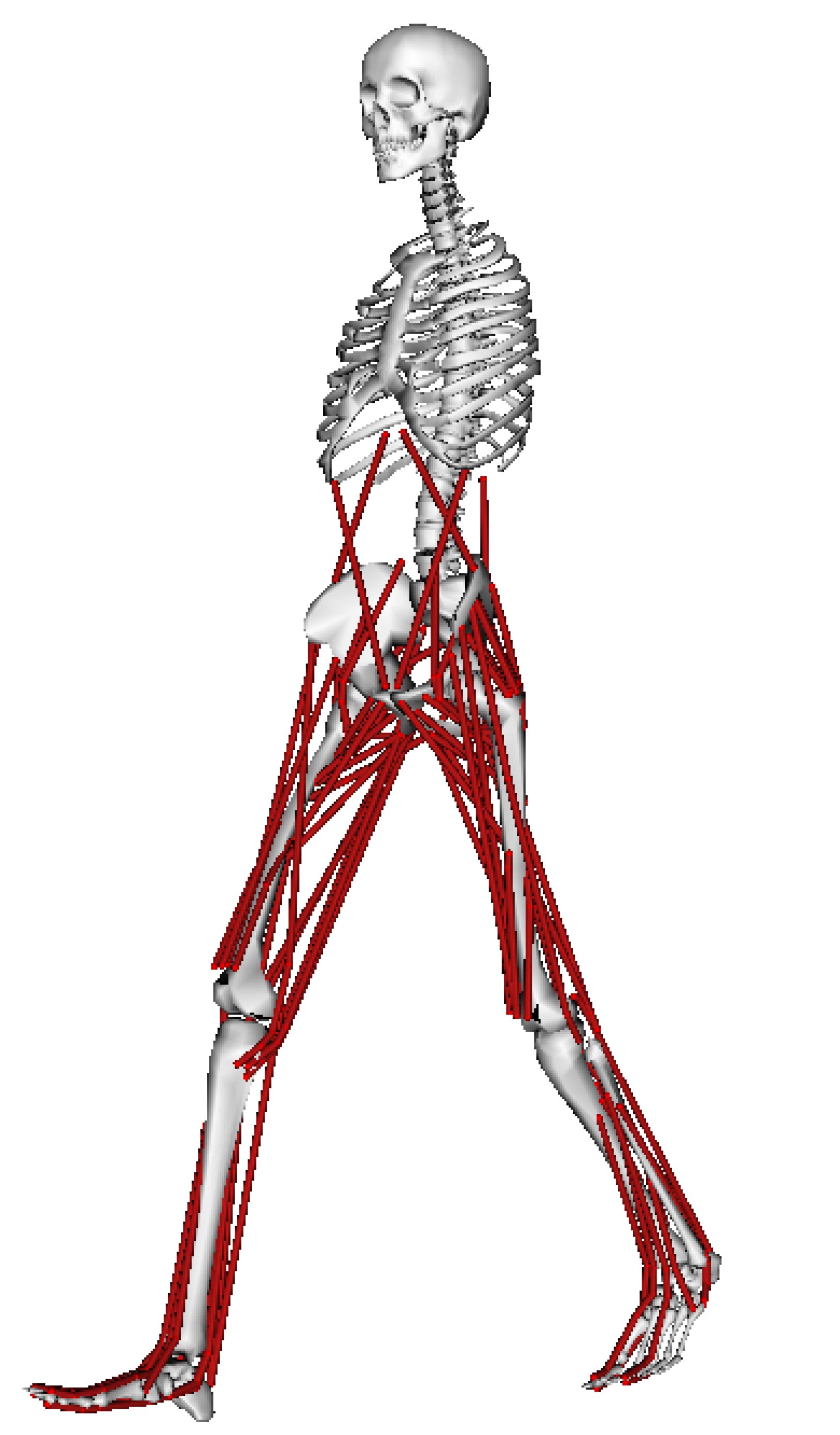 Research | Biomolecular Research Center
