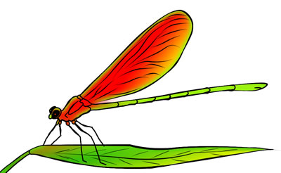 50 FREE Dragonfly Clip Art Drawings and Colorful Images - ClipArt ...