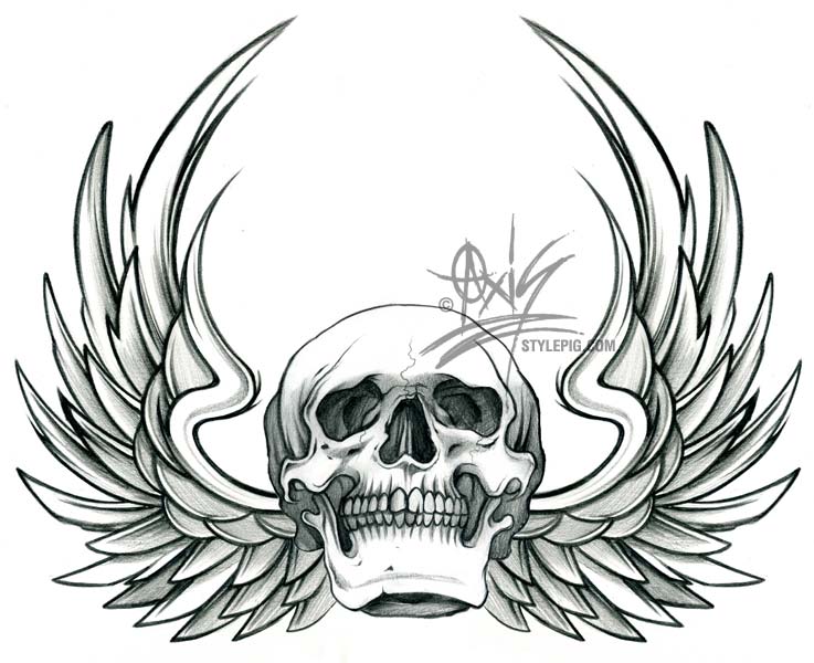 Skull With Wings Images & Pictures - Becuo