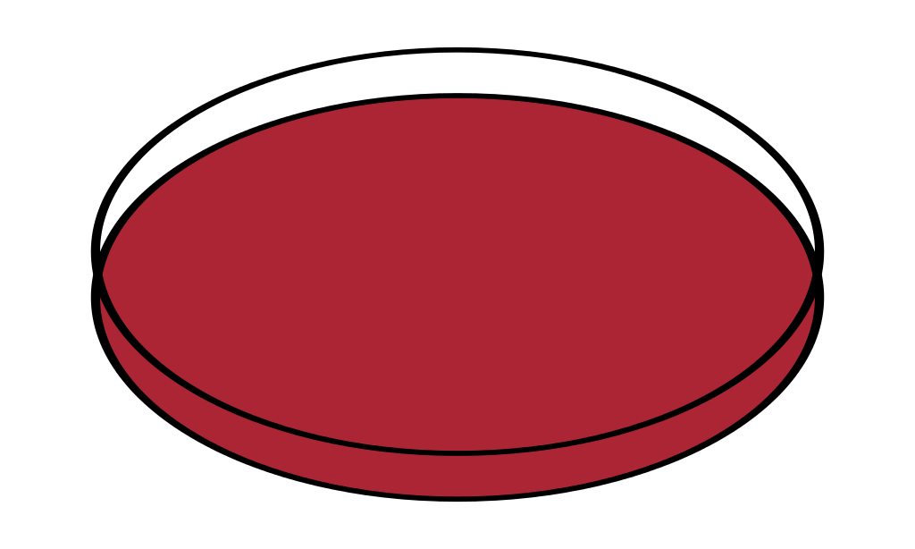 File:Petri dishes open.svg - Wikimedia Commons