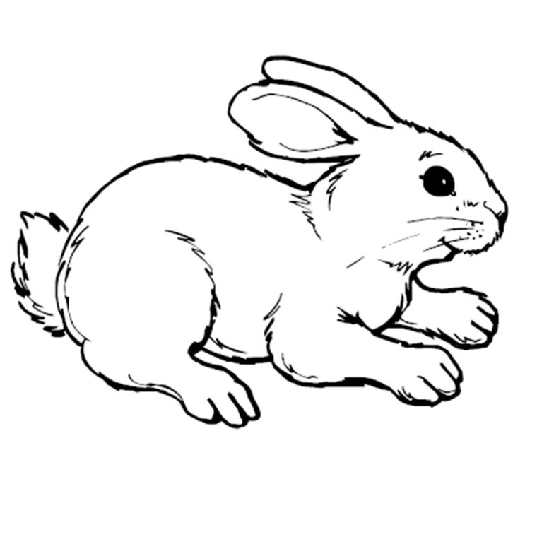 Bunny Pictures To Print | Disney Coloring Pages | Kids Coloring ...